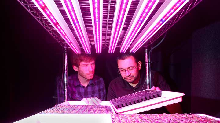 Twee mannen zijn blij met de Philips LED-vermeerderingslampen boven de gewassen in Purdue University