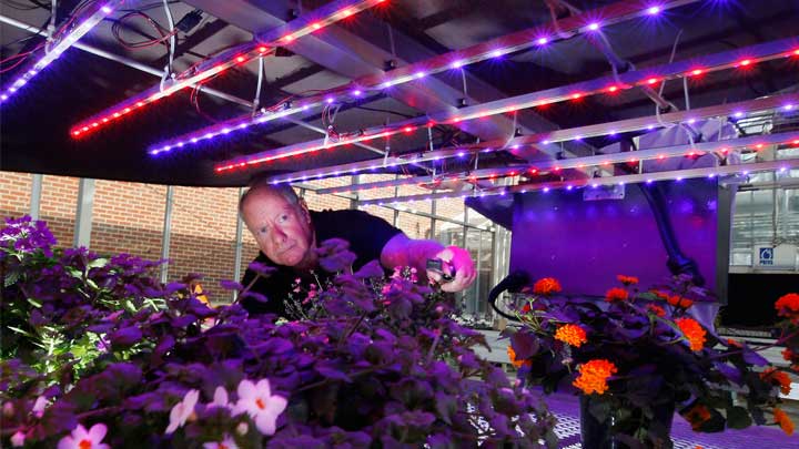 Twee mannen zijn blij met de Philips LED-vermeerderingslampen boven de gewassen in Purdue University