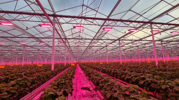 Podcast “Aan het licht” over UV-C