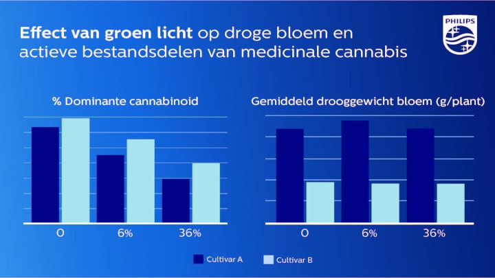 Hogere actieve componenten voor medicinale cannabis met lagere percentages groen licht 