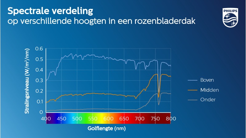 . Licht gemeten op drie verschillende hoogten in een rozenbladerdak