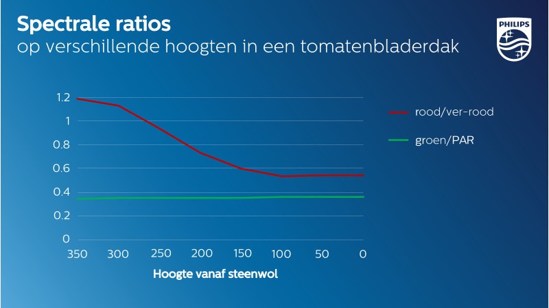 Licht gemeten op verschillende hoogten in een tomatenbladerdak