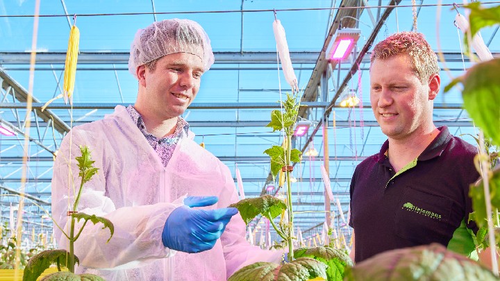 Betrouwbare partner met jarenlange ervaring