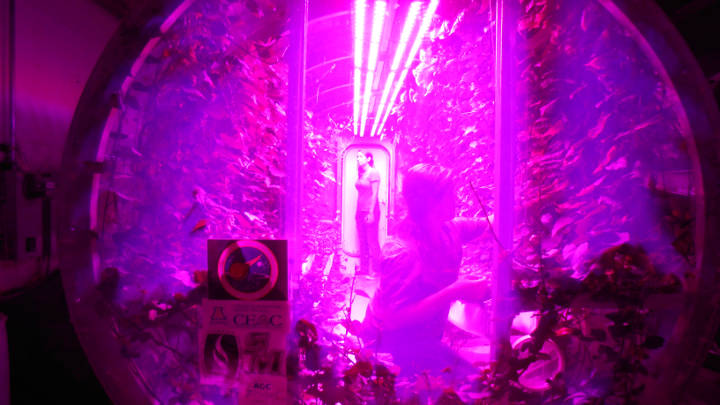 Lunar GreenHouse