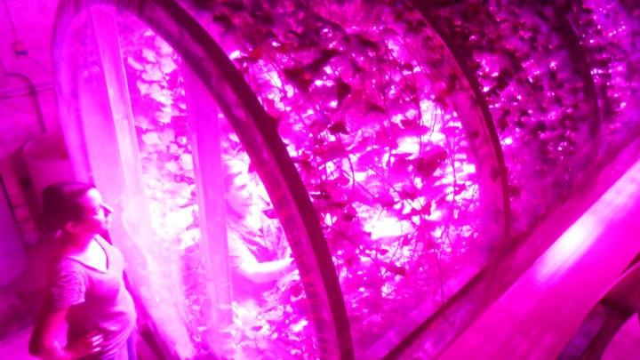 Lunar GreenHouse