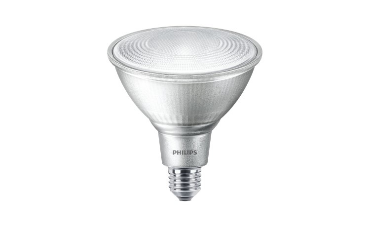 ledspot par