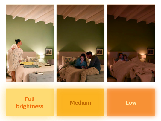 SceneSwitch - stapsgewijs dimmen | Philips verlichting