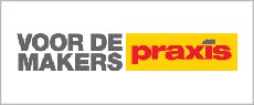 Praxis logo