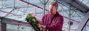 Teler verlaagt arbeidskosten met Philips LED toplighting