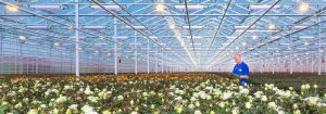 Afzonderlijke bediening van warmte en licht