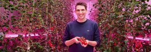 Een groeirecept creëren voor indoor farming