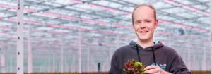 Indoor telen om jaarrond sla te kunnen leveren