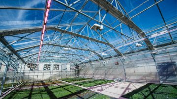Kalamazoo Specialty is overgestapt op telen met Philips LED-groeilampen voor toplighting