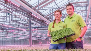 Medewerkers Rudy Raes