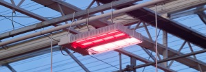Philips GreenPower LED toplighting force 2.1