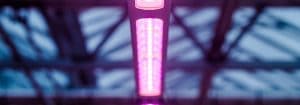 led toplightning