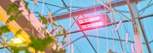 Signify introduces 4-channel Philips GreenPower LED toplighting force