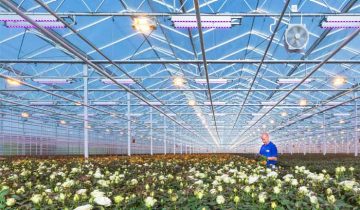 Podcast “Aan het licht” over UV-C