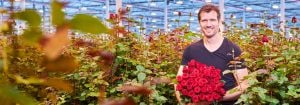 Laat je rozen opvallen met LED