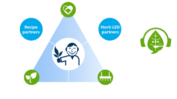 organized-around-you